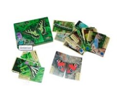 JUEGO DE CARTAS PAPILIO        