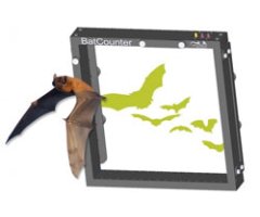 MARCO ELECTRÓNICO BATCOUNTER DE APODEMUS PARA CONTAJE DE MURCIÉLAGOS U OTROS ANIMALES