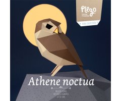 PLEGOPAPER - FIGURA RECORTABLE DE MOCHUELO EUROPEO (MUSSOL COMÚ)