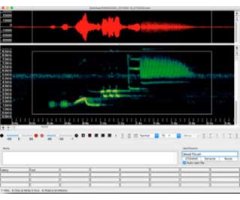 SOFTWARE DE ANÁLISIS BIOACÚSTICO E IDENTIFICACIÓN DE GRABACIONES DE SONIDOS Y ULTRASONIDOS EMITIDOS POR MURCIÉLAGOS KALEIDOSCOPE PRO DE WILDLIFE ACOUS