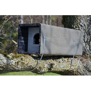 1WK CAJA NIDO CÁRABO PARA RAMA ÁRBOL_1