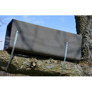 1WK CAJA NIDO CÁRABO PARA RAMA ÁRBOL 3