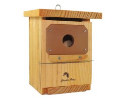 CAJA NIDO DE MADERA PARA PÁRIDOS TRATADA Y CON PROTECCIÓN ANTIPÍCIDOS