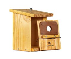 CAJA NIDO DE MADERA PARA PÁRIDOS TRATADA Y CON PROTECCIÓN ANTIPÍCIDOS 3