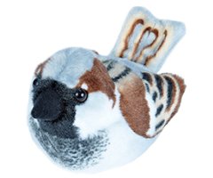 PELUCHE DE GORRIÓN COMÚN / PARDAL COMÚ CON CANTO 2