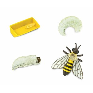 FIGURAS CICLO DE LA VIDA - ABEJA_1