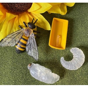 FIGURAS CICLO DE LA VIDA - ABEJA 3