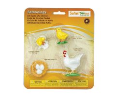 FIGURAS CICLO DE LA VIDA - GALLINA     