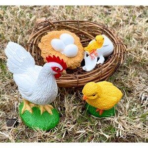 FIGURAS CICLO DE LA VIDA - GALLINA 3