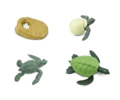 FIGURAS CICLO DE LA VIDA - TORTUGA MARINA 2