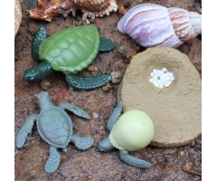 FIGURAS CICLO DE LA VIDA - TORTUGA MARINA 3