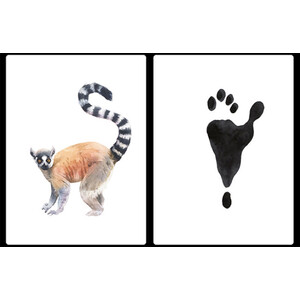 DESCUBRE LA HUELLA. EMPAREJA 25 ANIMALES CON SUS HUELLAS_1