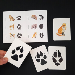 DESCUBRE LA HUELLA. EMPAREJA 25 ANIMALES CON SUS HUELLAS 3