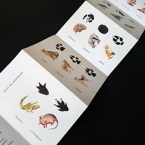 DESCUBRE LA HUELLA. EMPAREJA 25 ANIMALES CON SUS HUELLAS 4