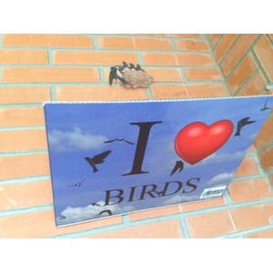 RECOGEDOR DE EXCREMENTOS DE GOLONDRINAS MODELO I LOVE BIRDS_1