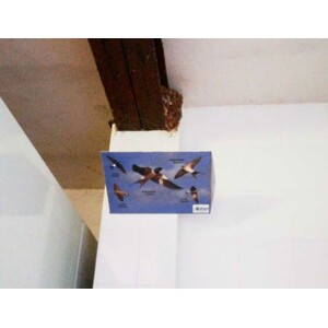 RECOGEDOR DE EXCREMENTOS DE GOLONDRINAS MODELO VOLANDO_1