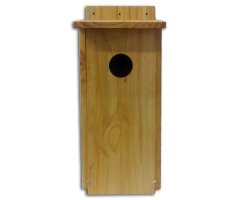 CAJA NIDO PARA MOCHUELO EN MADERA TRATADA