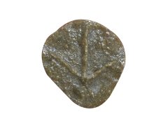 MOLDE HUELLA TRINGA OCHROPUS (ANDARRÍOS GRANDE, XIVITA, BILURICO ALINEGRO, KULISKA ILUN)        