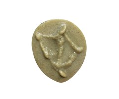 MOLDE HUELLA ANAS PLATYRHYNCHOS (ÁNADE AZULÓN, ÀNEC COLLVERD, LAVANCO, BASAHATE)      