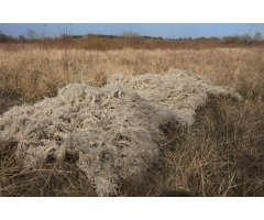 TRAGOPAN RED DE CAMUFLAJE GHILLIE BEIGE 2,5x1,5 m                                                                                                     
