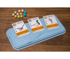 JUEGO BASE WINGSPAN 3