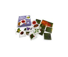 JOC MÉMO NATURE. FEUILLES ET FLEURS 2