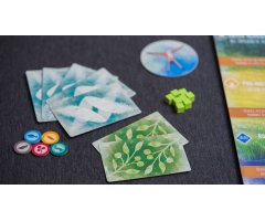 JUEGO WINGSPAN: EXPANSIÓN EUROPEA 5