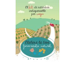 EL KIT DE REMEIERES INDISPENSABLE PER VIATJAR