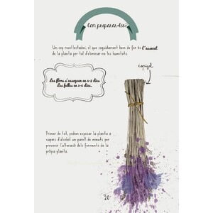 EL KIT DE REMEIERES INDISPENSABLE PER VIATJAR_1