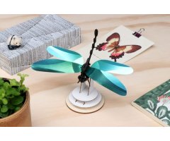 ROMPECABEZAS 3D ENTOMOLOGY PUZZLE - ANISOPTERA DRAGONFLY