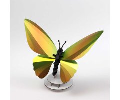 ROMPECABEZAS 3D ENTOMOLOGY PUZZLE - BIRDWING BUTTERFLY