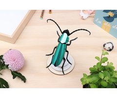 ROMPECABEZAS 3D ENTOMOLOGY PUZZLE - ROSALIA BEETLE