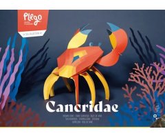 PLEGOPAPER- FIGURA RECORTABLE CANCRIDAE (CANGREJO - CRANC)