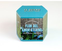 KIT AUTOCULTIVO DE FLOR DEL AMOR ETERNO