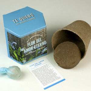 KIT AUTOCULTIVO DE FLOR DEL AMOR ETERNO_1