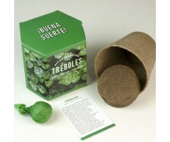 KIT AUTOCULTIVO DE TRÉBOLES 2