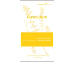 COL·LECTIU EIXARCOLANT. CUSCULLERA (HYOSERIS RADIATA). LLAVORS DE VARIETATS AGRÍCOLES TRADICIONALS