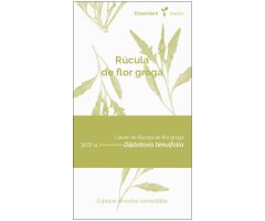 COL·LECTIU EIXARCOLANT. RÚCULA DE FLOR GROGA (DIPLOTAXIS TENUIFOLIA). LLAVORS DE VARIETATS AGRÍCOLES TRADICIONALS
