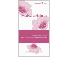 COL·LECTIU EIXARCOLANT. MALVA ARBÒRIA (LAVATERA ARBOREA). LLAVORS DE VARIETATS AGRÍCOLES TRADICIONALS
