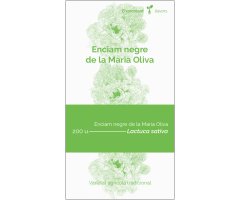 COL·LECTIU EIXARCOLANT. ENCIAM NEGRE DE LA MARIA OLIVA (LACTUCA SATIVA). LLAVORS DE VARIETATS AGRÍCOLES TRADICIONALS