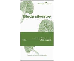 COL·LECTIU EIXARCOLANT. BLEDA SILVESTRE (BETA VULGARIS). LLAVORS DE VARIETATS AGRÍCOLES TRADICIONALS