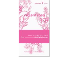 COL·LECTIU EIXARCOLANT. VIOLERA ROSA (MATTHIOLA INCANA). LLAVORS DE VARIETATS AGRÍCOLES TRADICIONALS