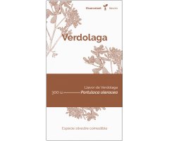COL·LECTIU EIXARCOLANT. VERDOLAGA (PORTULACA OLERACEA). LLAVORS DE VARIETATS AGRÍCOLES TRADICIONALS