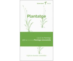 COL·LECTIU EIXARCOLANT. PLANTATGE (PLANTAGO LANCEOLATA). LLAVORS DE VARIETATS AGRÍCOLES TRADICIONALS