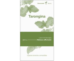 COL·LECTIU EIXARCOLANT. TARONGINA (MELISSA OFFICINALIS). LLAVORS DE VARIETATS AGRÍCOLES TRADICIONALS