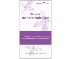 COL·LECTIU EIXARCOLANT. VIOLERA DE FLOR SIMPLE LILA (MATTHIOLA INCANA). LLAVORS DE VARIETATS AGRÍCOLES TRADICIONALS