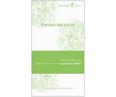 COL·LECTIU EIXARCOLANT. ENCIAM DEL SUCRE (LACTUCA SATIVA). LLAVORS DE VARIETATS AGRÍCOLES TRADICIONALS
