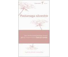 COL·LECTIU EIXARCOLANT. PASTANAGA SILVESTRE (DAUCUS CAROTA). LLAVORS DE VARIETATS AGRÍCOLES TRADICIONALS