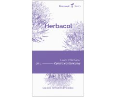 COL·LECTIU EIXARCOLANT. HERBACOL (CYNARA CARDUNCULUS). LLAVORS DE VARIETATS AGRÍCOLES TRADICIONALS
