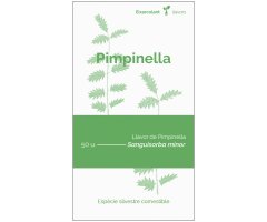 COL·LECTIU EIXARCOLANT. PIMPINELLA (SANGUISORBA MINOR). LLAVORS DE VARIETATS AGRÍCOLES TRADICIONALS